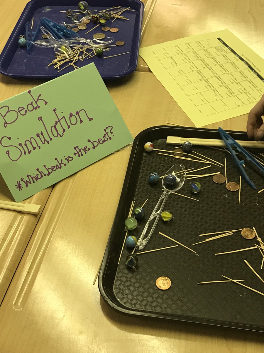 LeopardsLES's tweet photo. Awesome turnout for our STEM night! We ❤️ our families! @LeopardsLES @bvschools #teachLES #bestyearyet https://t.co/vjQiqplQKz