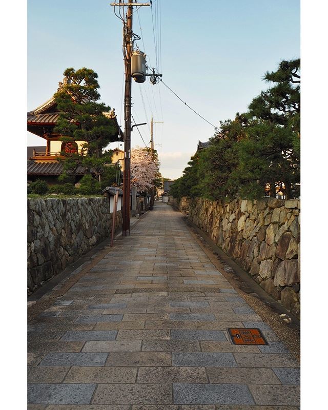 JapanDeluxe's tweet photo. Stone Street https://t.co/dEkTxfOKkV