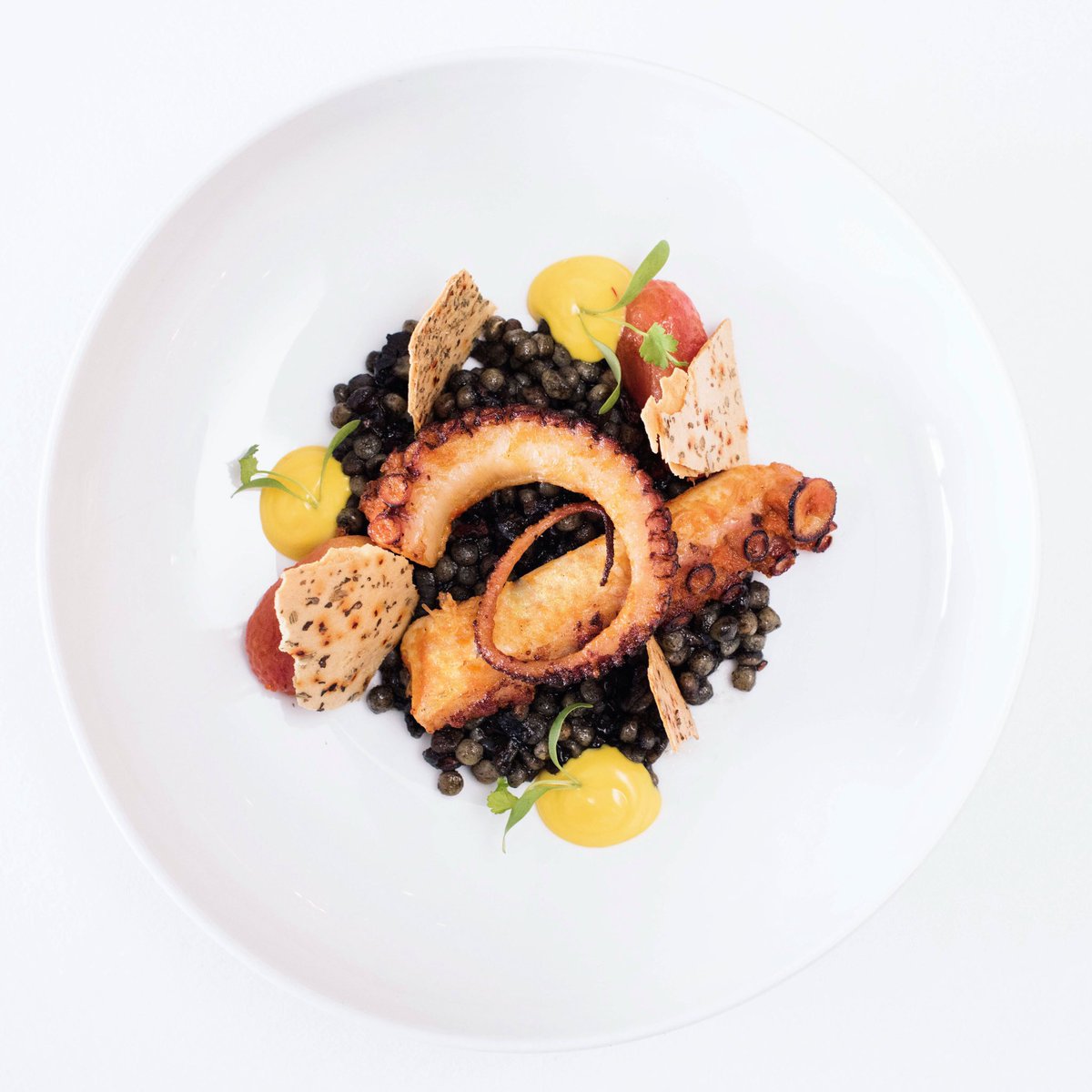 Tonight, endless waves of joy... #greekoctopus 
#bagatellemiami #bagatellekitchen #miaminights #miami #miamieats #miamitonight #miamirestaurant