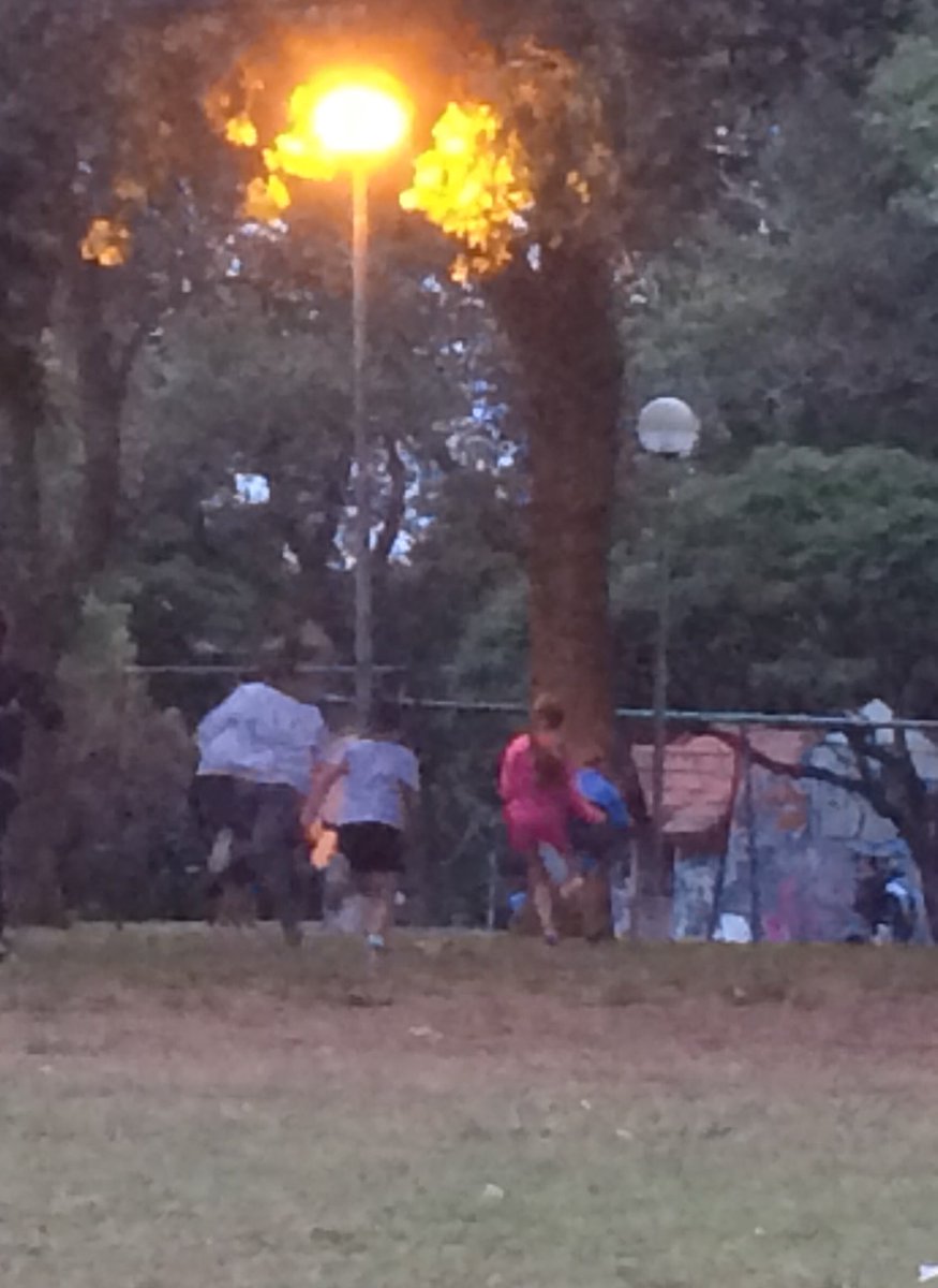 trotenmdp's tweet photo. MiniTroten #atletismoInfantil #Troten MDQ https://t.co/Myo3s2p0E9