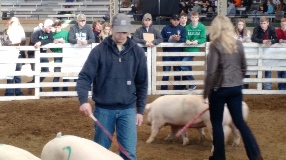 APEX_GlobalAg's tweet photo. Iowa Pork Congress judging and trade show!  Learning by doing! @WaukeeAPEX @waukeeffa @IowaPork https://t.co/ANkVpiXnwp