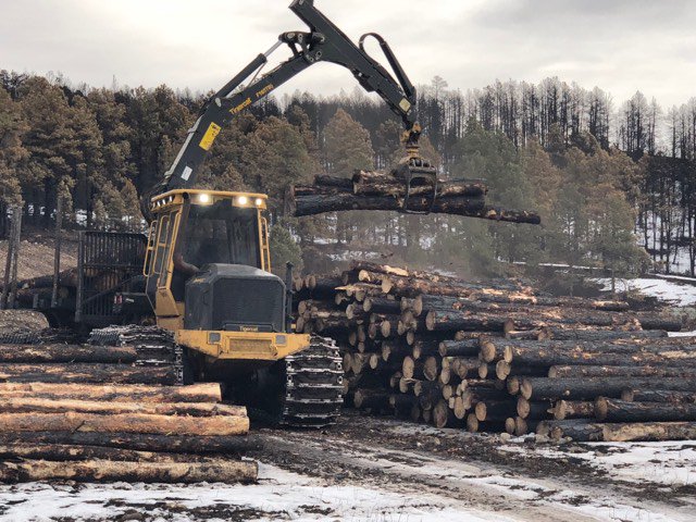 NewsCenter1's tweet photo. .@CusterStatePark will be harvesting trees over 6,261 acres that were killed or damaged during the #legionlakefire in December. https://t.co/3zNdPLawQO https://t.co/SMIMBNjxNu