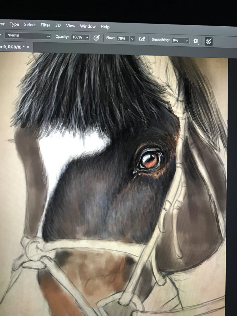 BayesKatherine's tweet photo. More progress for my first commission portrait!! I’m really loving painting this gorgeous creature 💗🐴 #wip #art #artist #painting #digitalart #digitalpainting #horse #pony #illustration #portrait #texture #photoshop #workinprogress #conceptart #instaartist #instaart https://t.co/NLRa6ryyiy