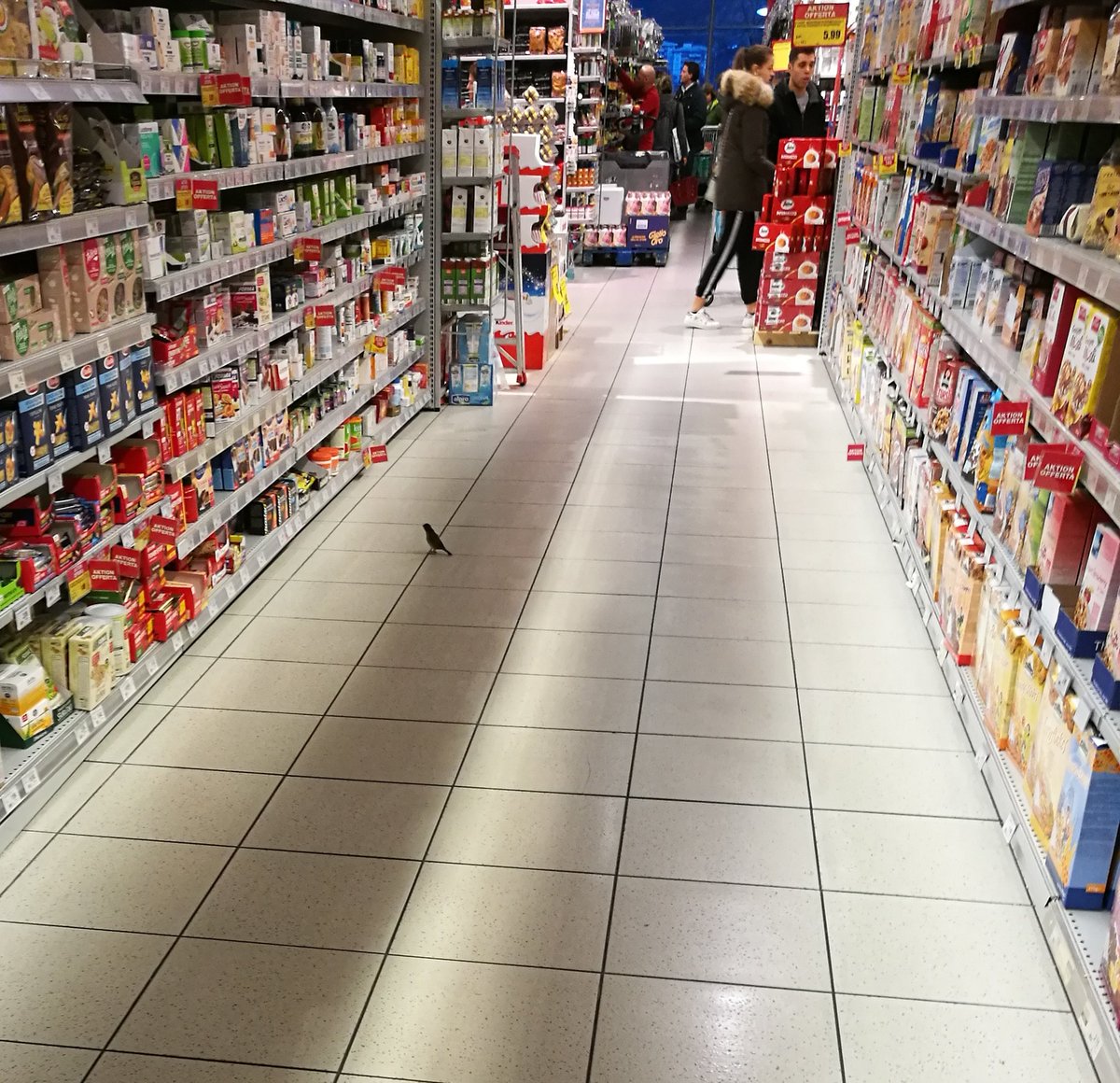 Im Supermarkt trifft man manchmal echt komische Vögel... 🤔