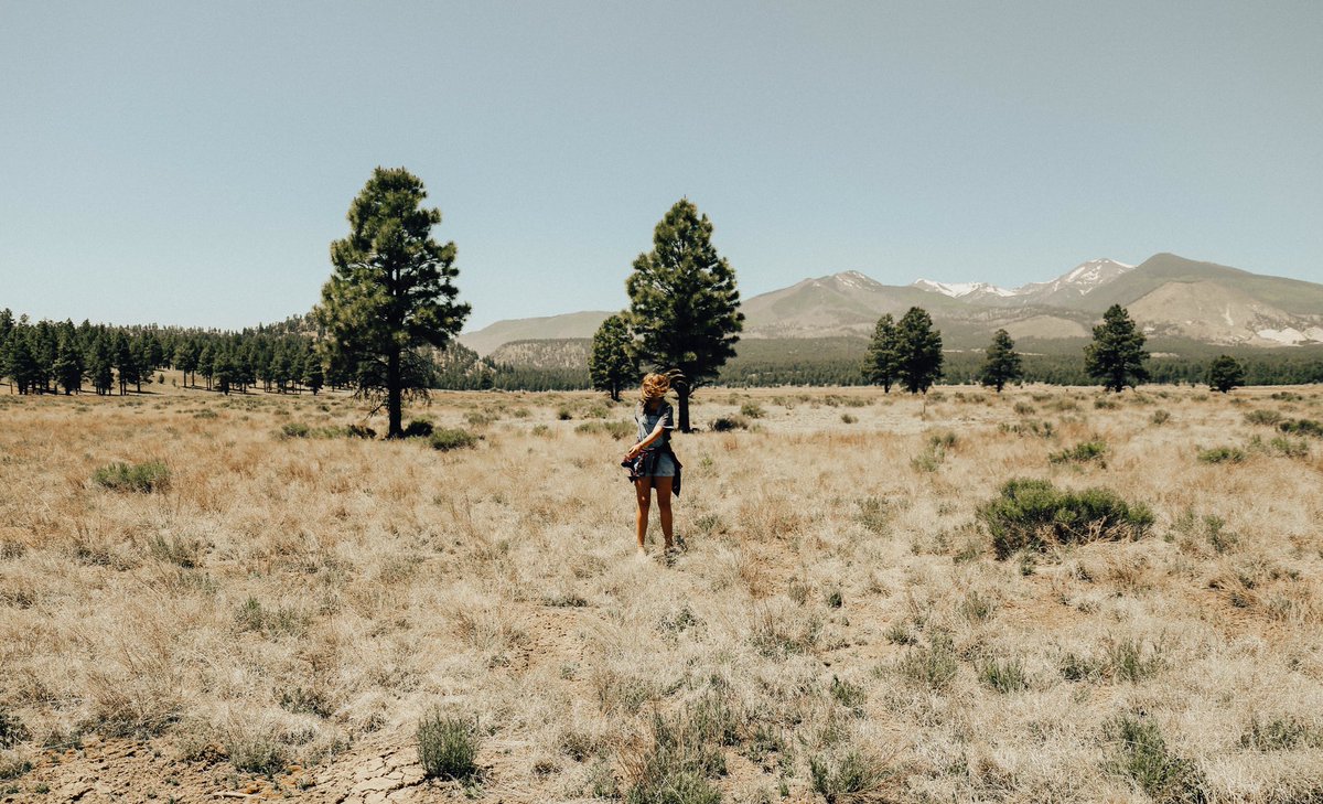 janietylerr's tweet photo. missing summer https://t.co/h2QHXz9V67
