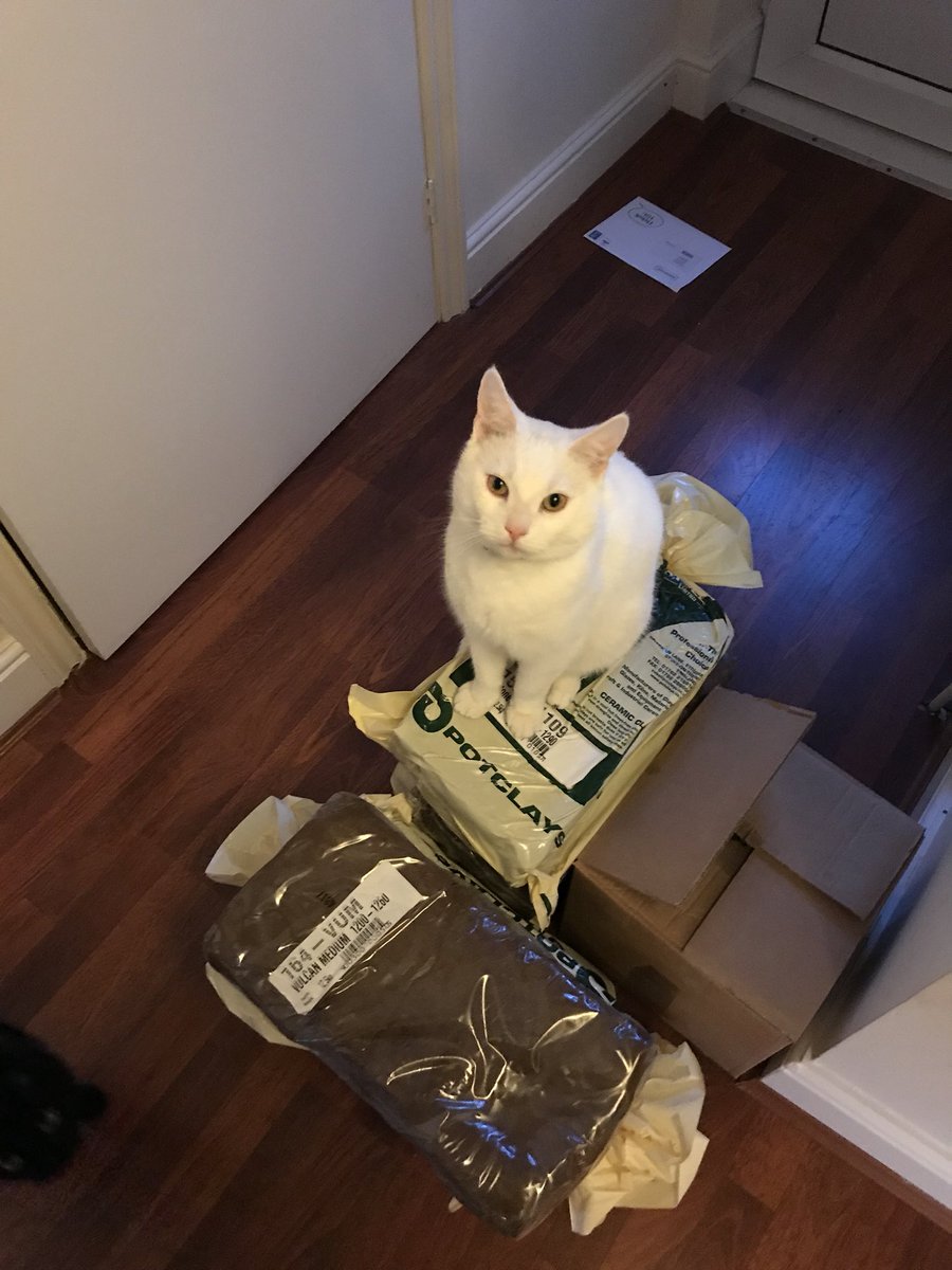 rosietstudio's tweet photo. Ordered and received a bunch of clay from @potclays ... stay tuned to see what becomes of it! (Cat was not part of the delivery) https://t.co/82Bogyy78c