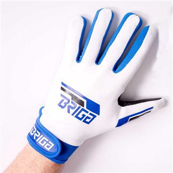 BrigaSports tweet media