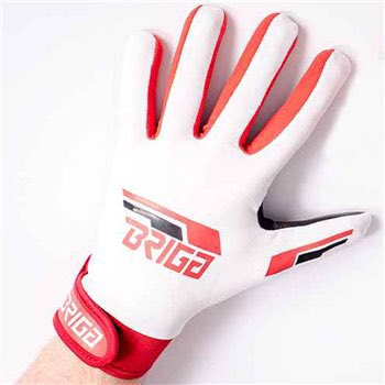 BrigaSports tweet media