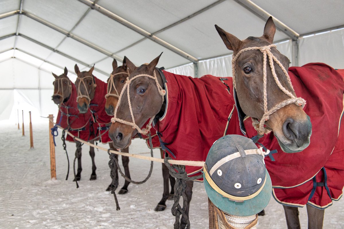 polowcstmoritz's tweet photo. #impressions #snowpolostmoritz #trainingday #stmoritz #snowpolo https://t.co/jGxPV5gGFf https://t.co/eur6WHtgqZ