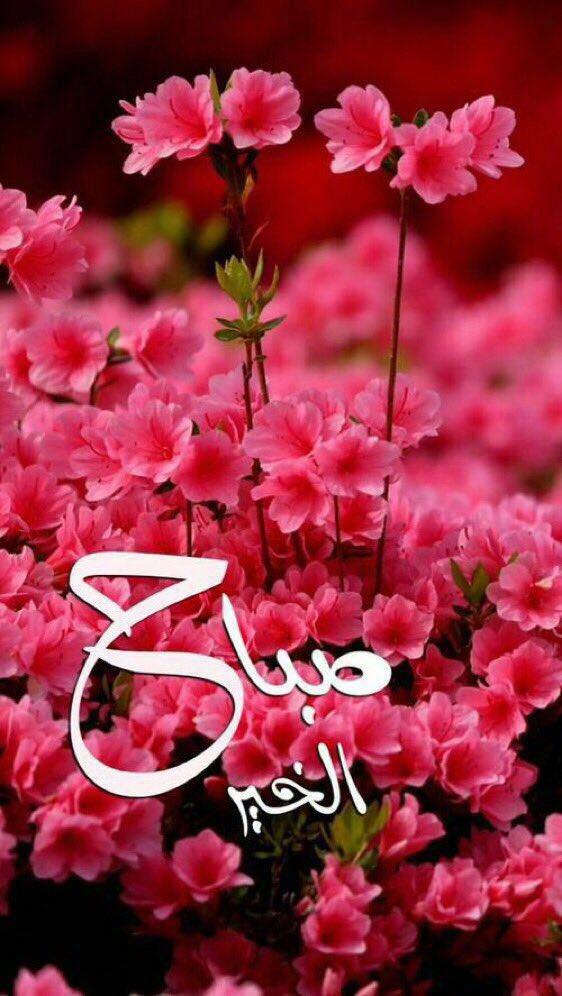 g1741's tweet photo. @um_raied ي صباح النور والسرور هلا ي الزين 
نورك الله يسلمك . https://t.co/qClRI7VH0m