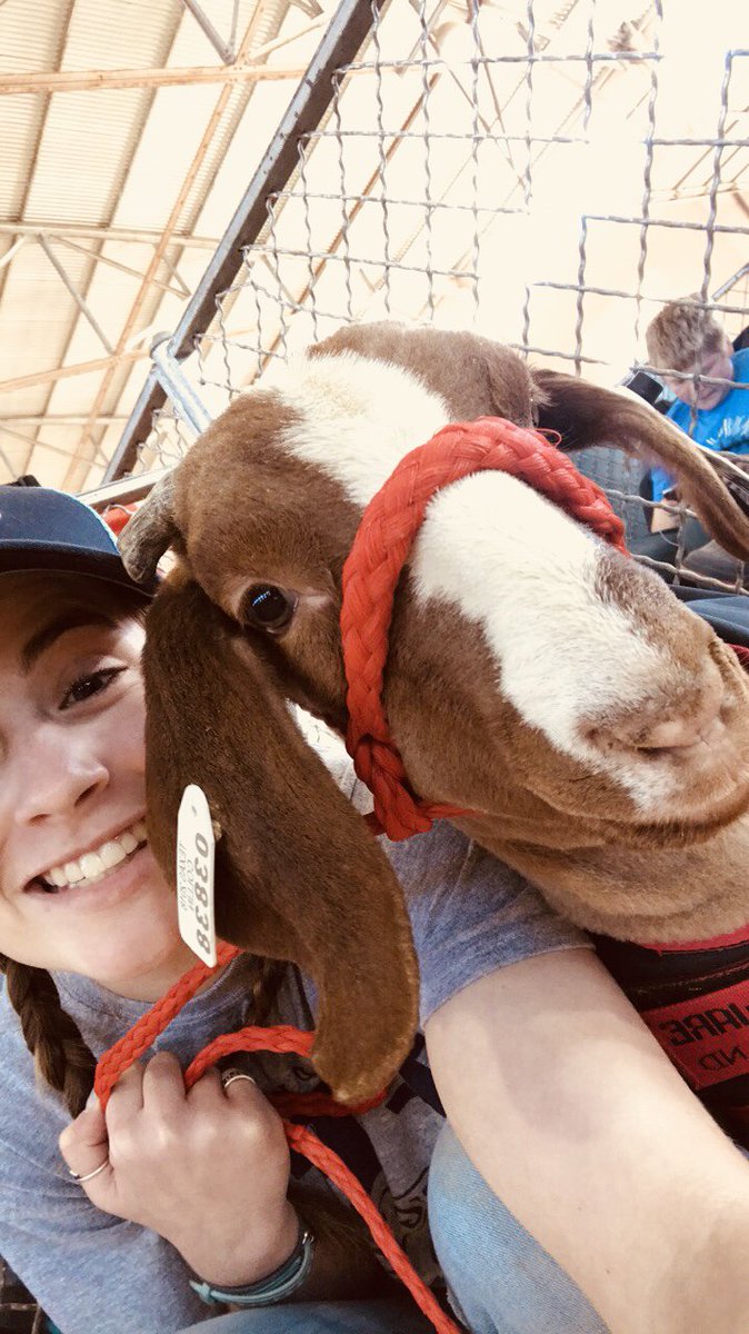 wakelandffa's tweet photo. Yay! Itβs @fwssr time & the @wakelandffa Livestock Show Team is ready! ππ
@WakelandAccess @WakelandHS @wakelandcte #WHSFFA #FISDFocus https://t.co/cMiwX0TvSS