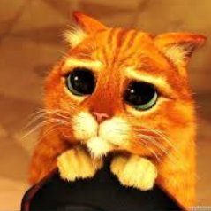 alaieg's tweet photo. Hola @RealGDT, en Haití no hay cines y l@s mexican@s que estamos aquí morimos por ver #LaFormaDelAgua! ¿Sería mucho pedir que nos ayudes a conseguir la peli? Nos encantaría organizar su proyección sin fines de lucro en #PuertoPríncipe ☺😎 https://t.co/x3GRQfWfoS