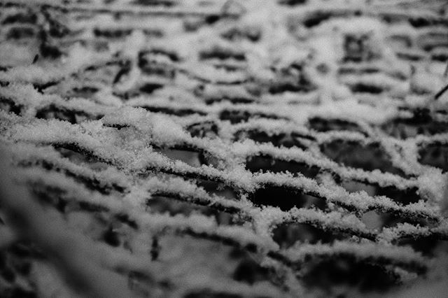 Level1Alt's tweet photo. Snowfence One
.
.
.
.
.
#Snowfence One
.
.
.
.
.
.
#snow #fence #snowday #snowfall #inthesouth #charlottenc #clt #winter #day #blackandwhite #bw #monochrome #vsco #vscox #vscobw #snowflake #shotonsony #shotwithsony #sonya6000 #sonyalpha #mirrorless #kitl… https://t.co/bga9dOUaYP https://t.co/q7SyOvSCzF
