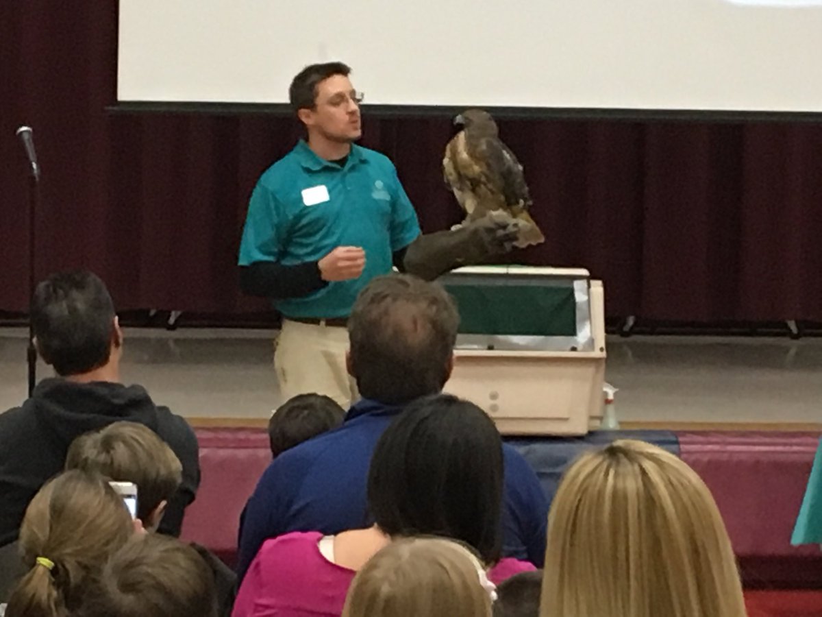 smpiasecki's tweet photo. “Birds of Prey” Night at BSES!
Over 130 kids and parents meet Maya the red-tailed hawk! #bsesjagnation https://t.co/007yu1lt71