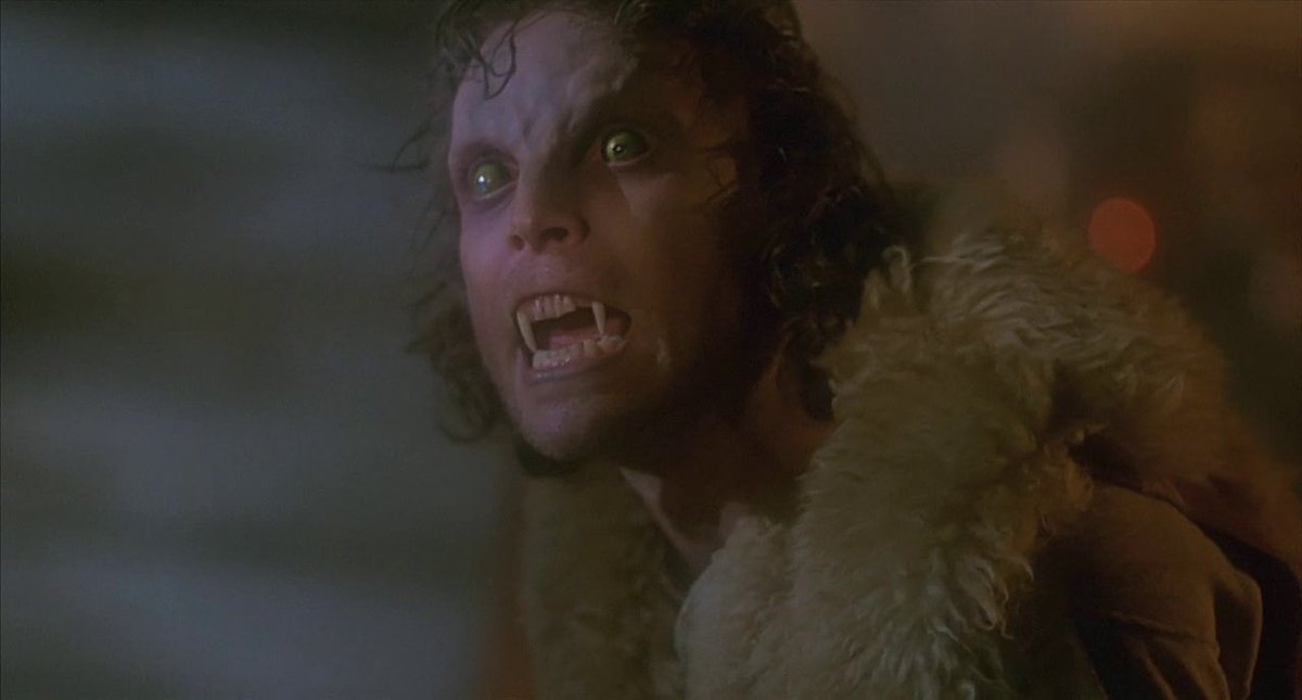 OddNMacabre's tweet photo. Who’s a fan of the 80’s #werewolf #horror flick #TheHowling (1981)? 

#HorrorMovies https://t.co/E1BgyQGJk2