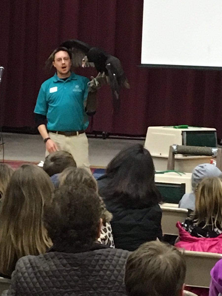 smpiasecki's tweet photo. Spirit, the turkey vulture, delights the crowd at the BSES Birds of Prey Night!  #bsesjagnation https://t.co/6PGrqJAFE7