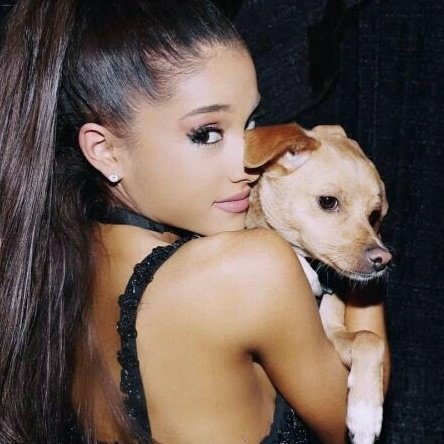 ArianaGLu's tweet photo. CINQUENTA COMENTÁRIOS AQUI COM AS TAGS:
#Toulouse #CutestPet #iHeartAwards https://t.co/xbF32qhTM4