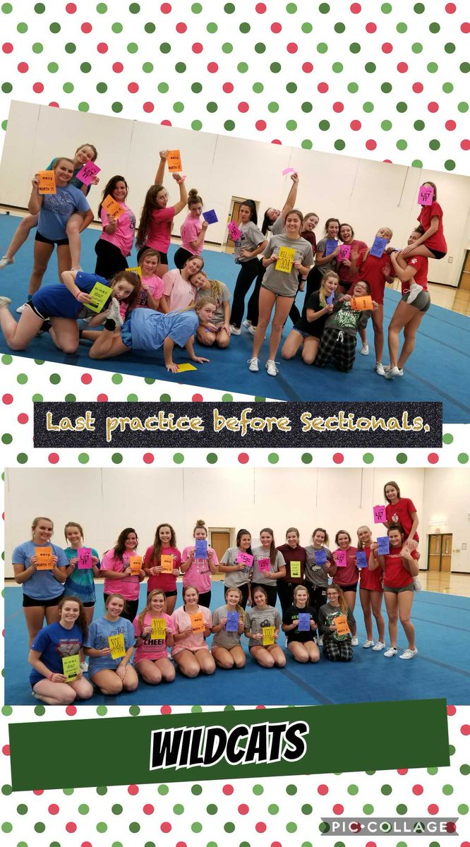 Cats_Cheer's tweet image. Best day yet. THESE Wildcats are ready! #sectionalweek