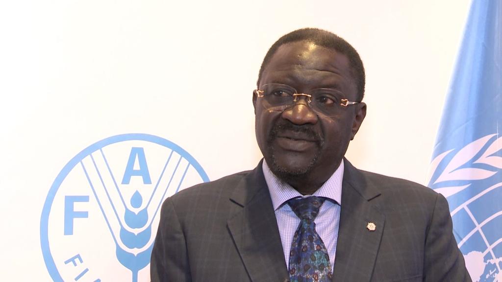 FAOSenegal's tweet photo. « C’est au tour de l’#Afrique de nourrir le monde en riz » Dr Papa Abdoulaye Seck, Ministre de l’agriculture et de l’équipement rural du #Senegal: ➨ https://t.co/zQo25PQM0R
#FoodSecurity
#FAOSN
#Kebetu
#Rice
#SecuritéAlimentaire
#EnPoverty
#ZeroHunger https://t.co/ytTA9LeF5E