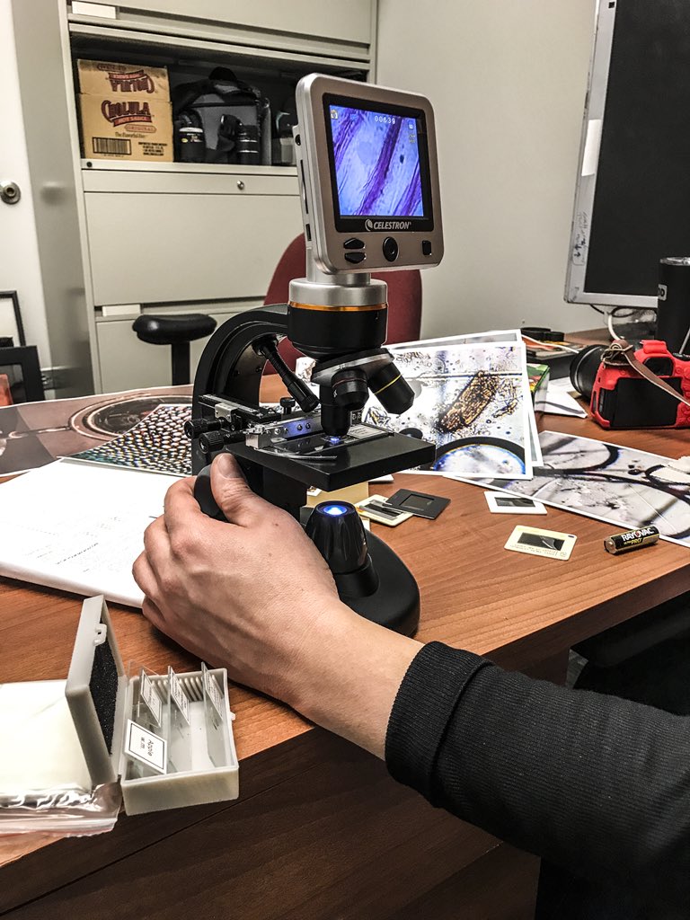 vacsxu's tweet photo. Who said you can’t make art with a microscope? At the VAC, we mix arts and sciences 🎨🔬#ArtSXU #SXUArt #VACSXU #SXUVAC #micrscope #abstractart #artschool #arttherapy #college #university #SXU #saintxavieruniversity #saintxavier #visualart https://t.co/nUsed7wByB