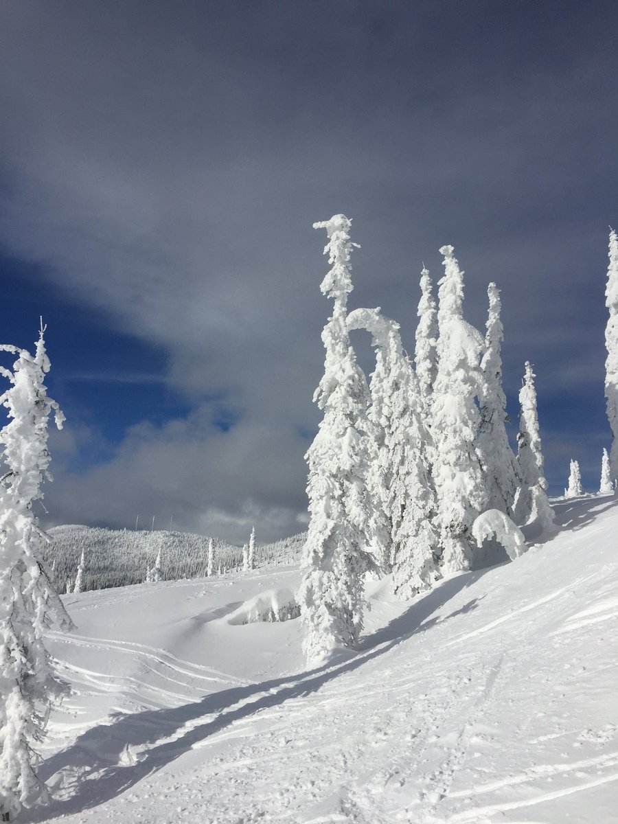echtracabin's tweet photo. There’s no shortage of snow in Whitefish, Montana!  You don’t ski?  Come for the relaxation and the friendly town.  Book your trip with Echtra today!  https://t.co/sYQocBzhJo https://t.co/J1KxdqXTWO