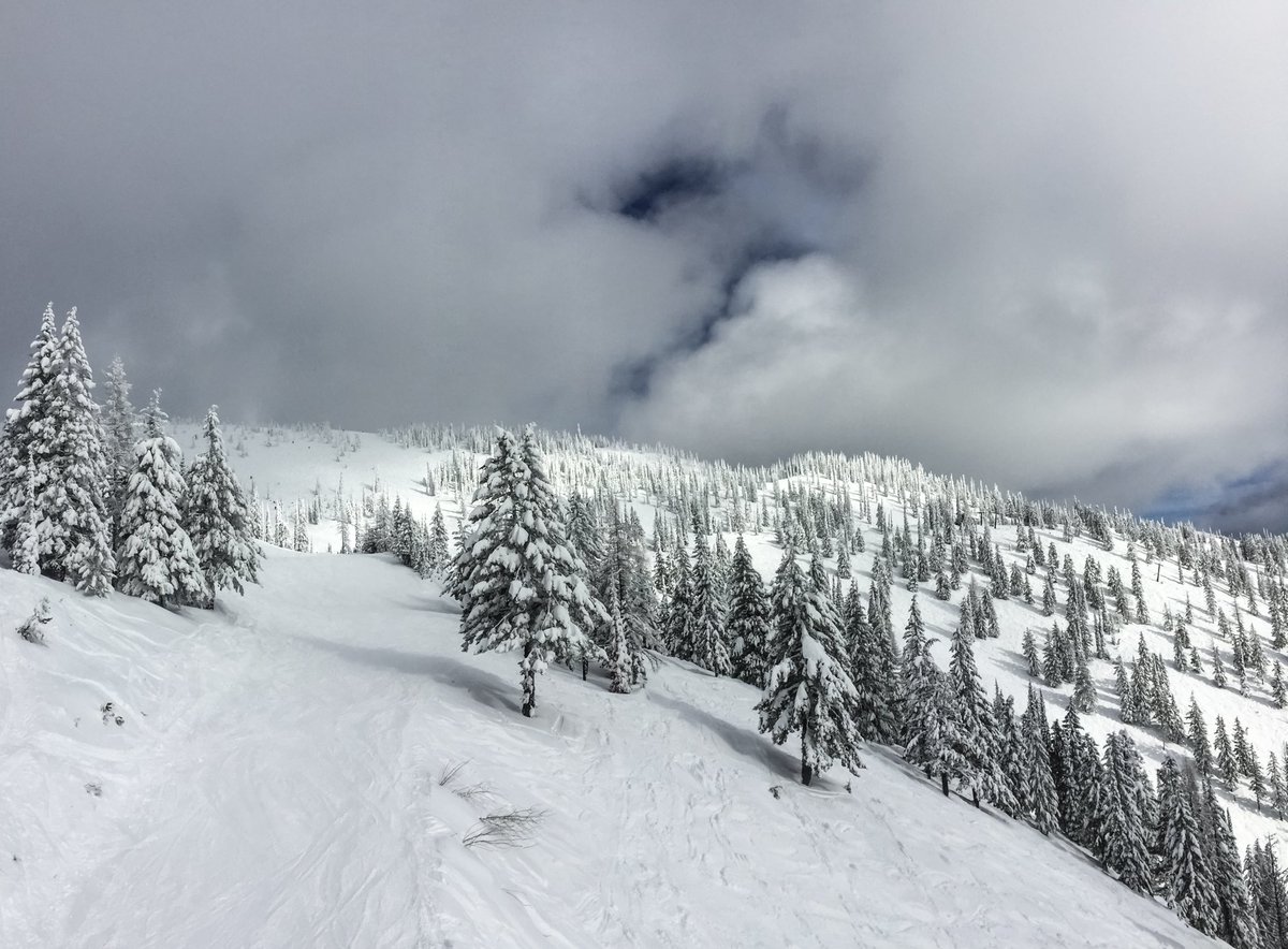 Echtra Cabin On Twitter There S No Shortage Of Snow In Whitefish