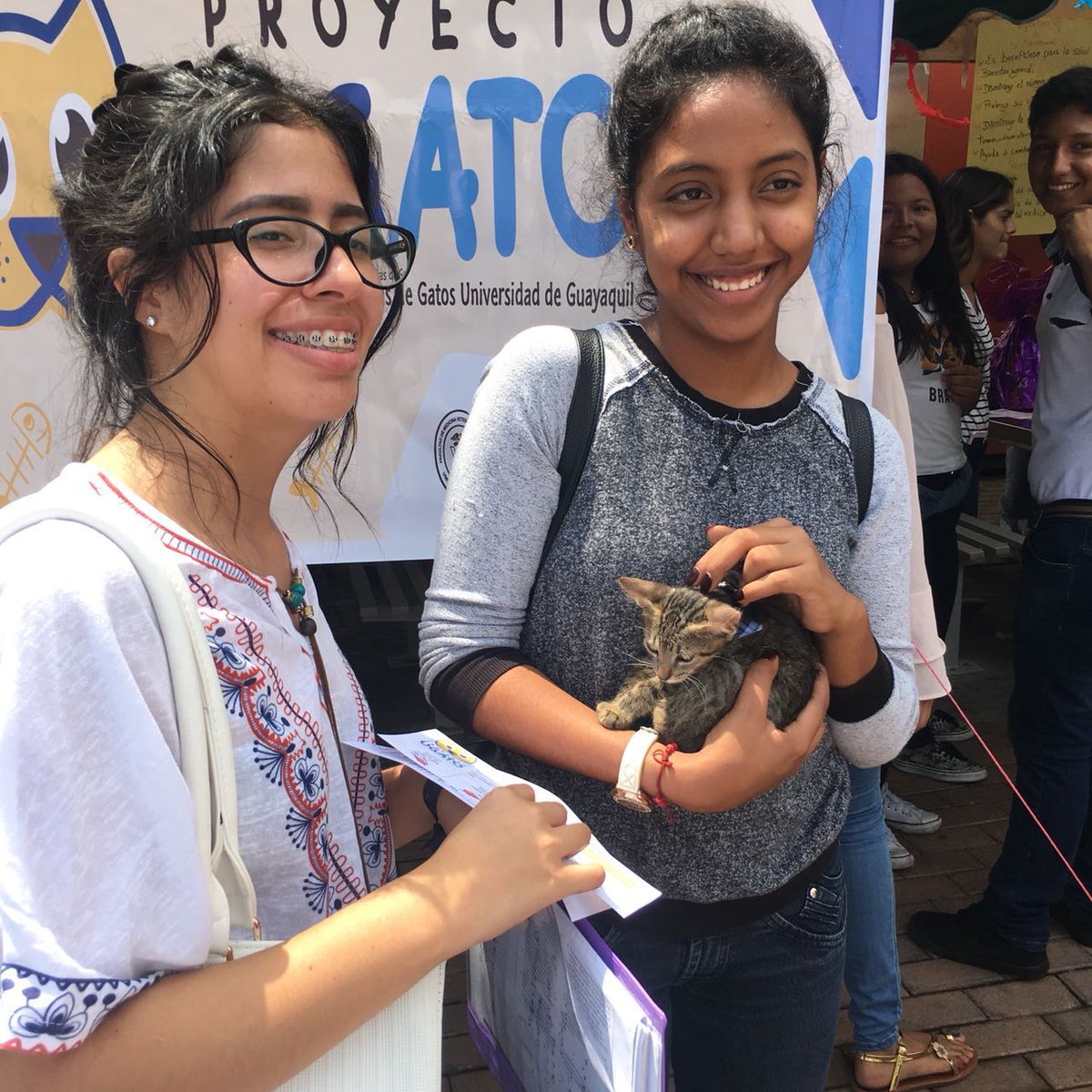 gatitosUG's tweet photo. Todo un éxito nuestra I feria de adopción y venta de nuestros souvenir. Estamos agradecidos con todos por su ayuda, hemos podido recaudar fondos para seguir con nuestro proyecto. #UGatos https://t.co/9ZN0tLgekd