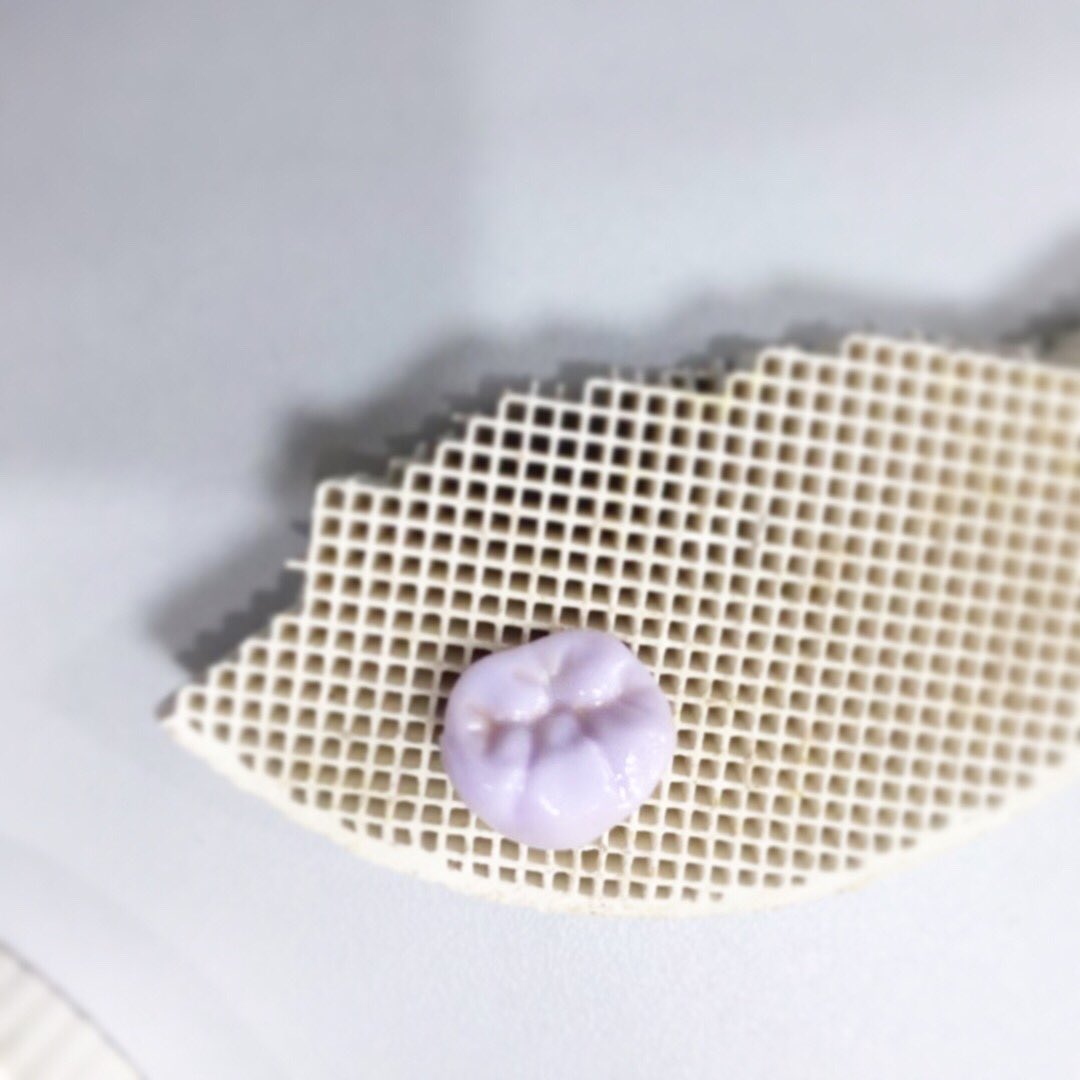 TOP_dentallab's tweet photo. Glass-ceramics from us, how do you like it ? 😺#topdental #topdentallab #outsourcing #madeinchina #dentallaboratory #dentallab #dentistry #crown #ceramic #glassceramic #shade #teeth #falseteeth #denture #dentistry #dentalworld https://t.co/xrqwZ3y2lU