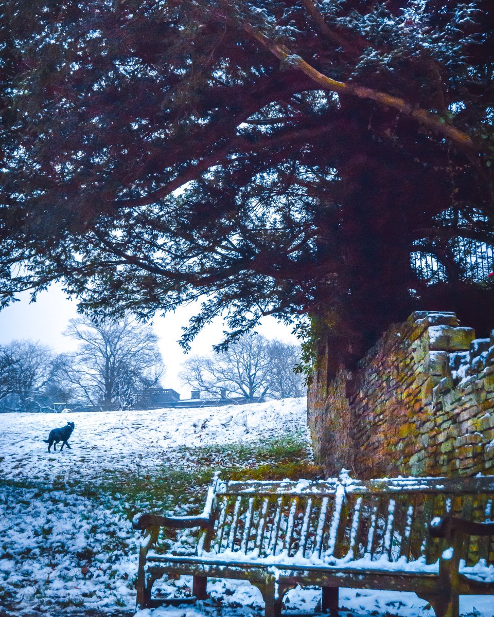 manutripsblog's tweet photo. Lyme Park🌳 #manutrips #Uk #park #travel #travelblogger #TravelTuesday #traveling #travelphotography #travelgram #TravelBan #TravelHappy #TravelAdventures #travelpics #travelblogging #TravelBlog #Travelers #traveltip #ukblogger #travelday https://t.co/PssJ02YydR