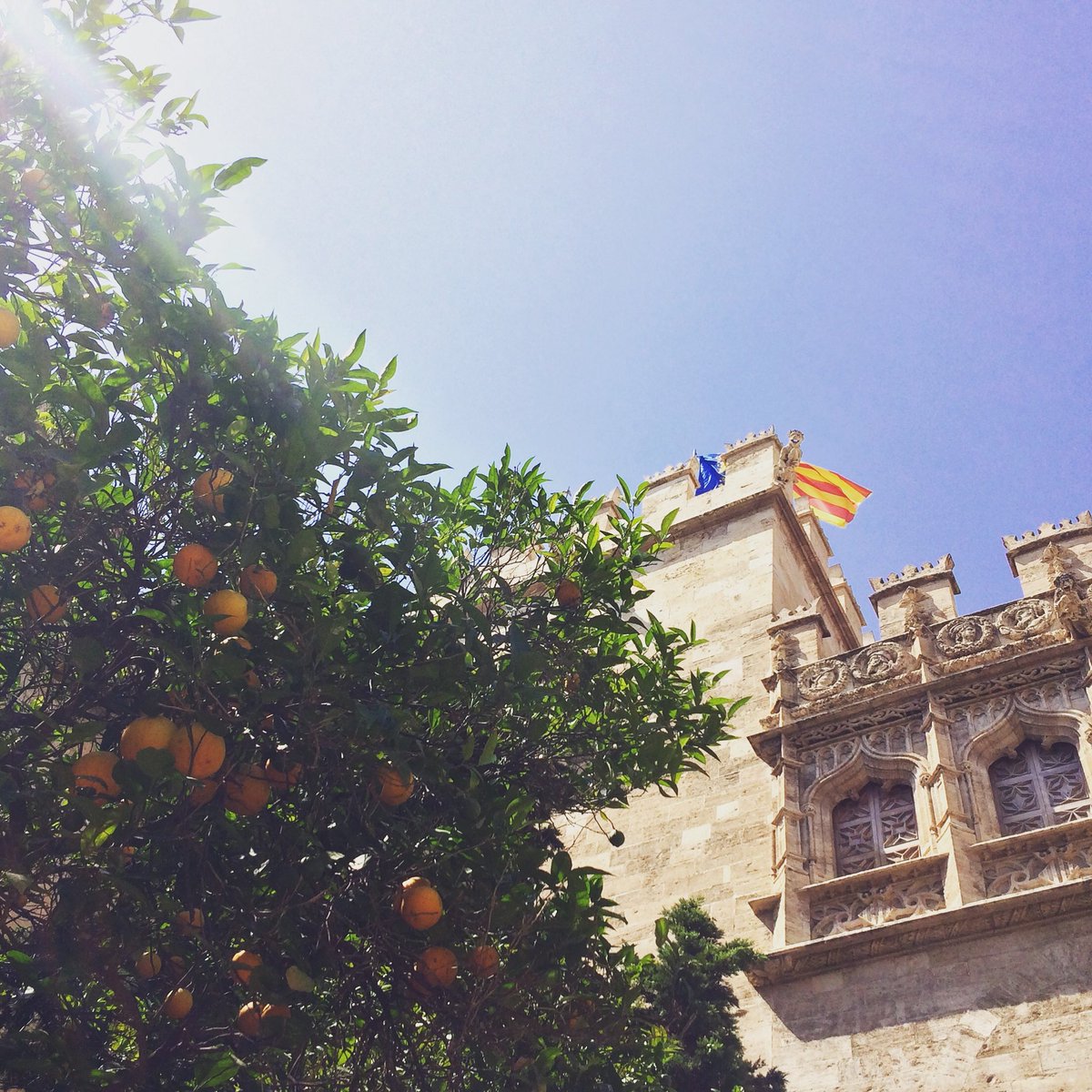 Let's Travel Spain tweet media