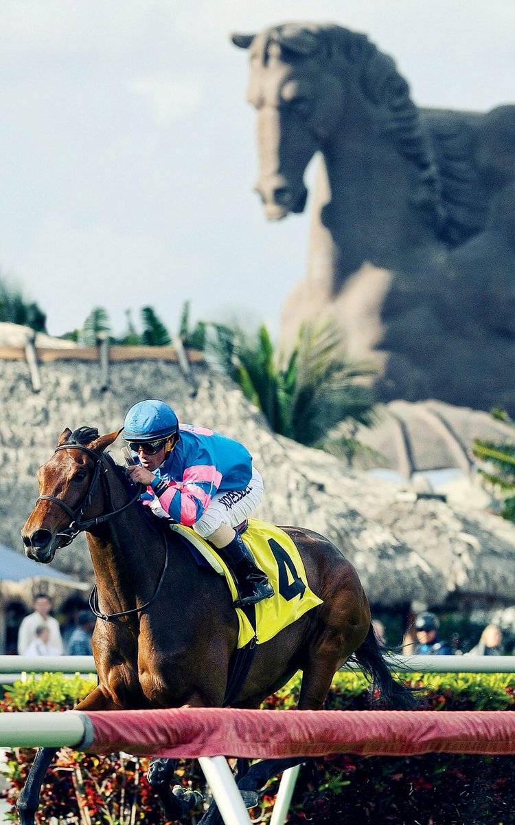 NotSorryDarling's tweet photo. Join me this weekend @PegasusWorldCup at @GulfstreamPark get tickets here: https://t.co/IvfWFCEsd9 #PegasusWorldCup #GulfstreamPark https://t.co/oIWeEmJHRH