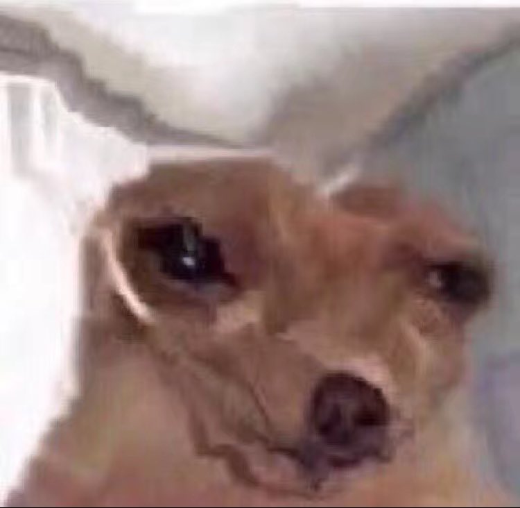 I knew life sucked the minute I found out that dogs and cats can sense when they’re dying so they isolate themselves from their owners because they don’t want to make it harder on them