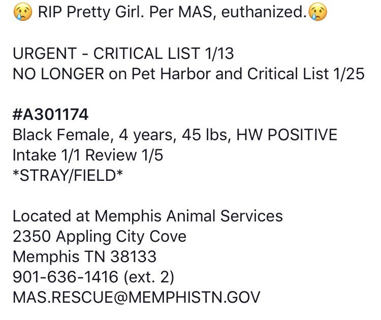 reddogsusie's tweet photo. KILLED๐๐๐
#TN #MEMPHIS
#NoOneCame
RIP SWEET ONE๐
https://t.co/tQkaS6DyUn https://t.co/kBwK17y6fV