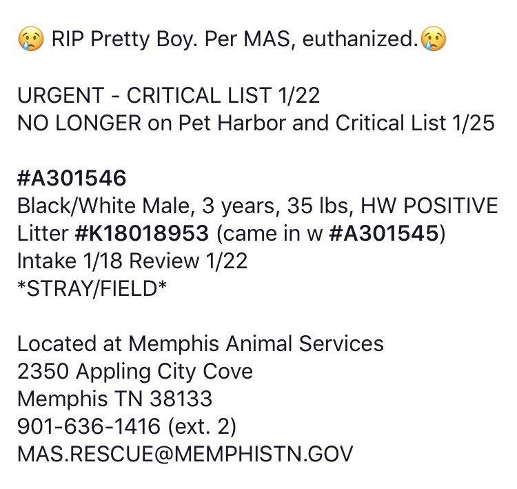 reddogsusie's tweet photo. KILLED๐๐๐
#TN #MEMPHIS
#NoOneCame
RIP SWEET BOY๐
https://t.co/fY0pAiq9vd https://t.co/i7EFmyCEVl