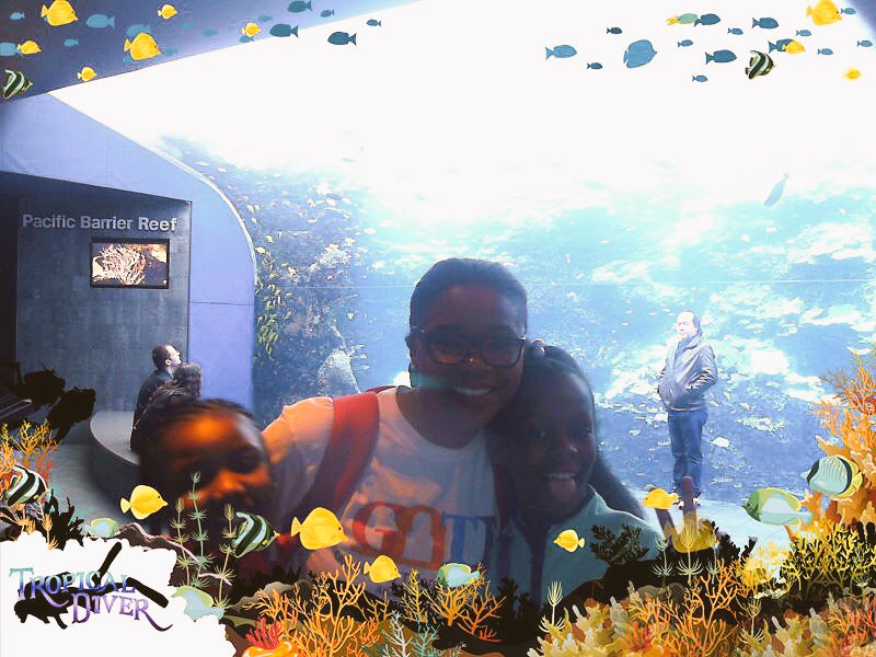 EFLULeads's tweet photo. We had a blast @GeorgiaAquarium Thanks for the grant that sponsored the worthwhile learning experience for our π―π―π―βοΈGeorgia Aquarium https://t.co/5dzVqr812n via @isnapofficial #GiftedEdMonth #PartnersinED @APSPeytonForest @APS_Gifted https://t.co/2Lly8P7J1q
