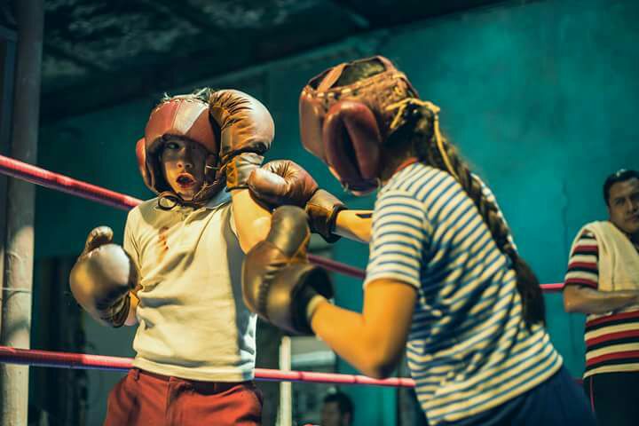 FanyGoldenGirl's tweet photo. No te pierdas el gran estreno de #ElCésar, lunes 12 de febrero.Por Azteca 🥊 #LosTiemposDeDiosSonPerfectos #NiñaDeOro #NiñaDeOroTem @RENE_RP @PepeCamarillo https://t.co/8QuQjKUmx3