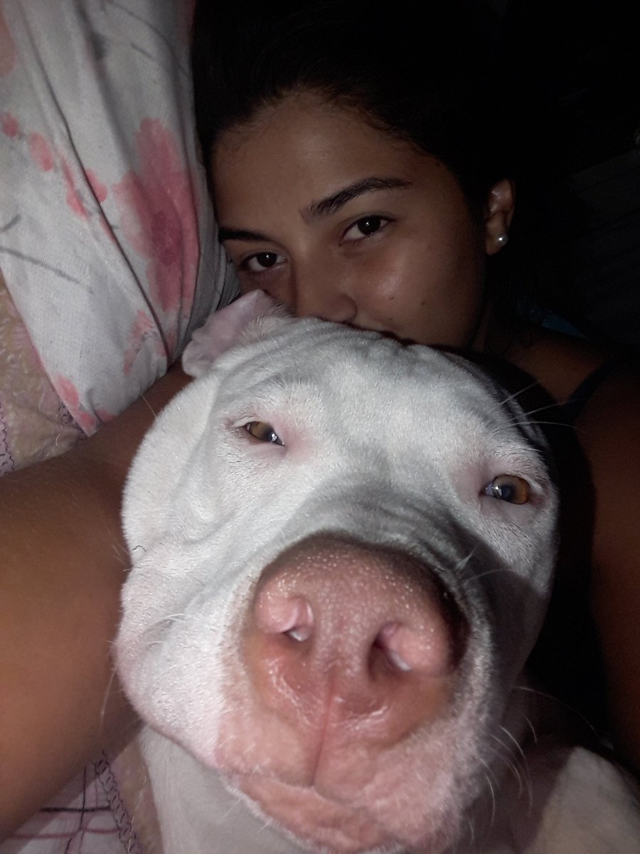 Le_Nasciimento's tweet photo. Grudinhoo Da Mamãe ' 😍🐶
#Chacall 💙💙 https://t.co/AyjpMK4Pxy