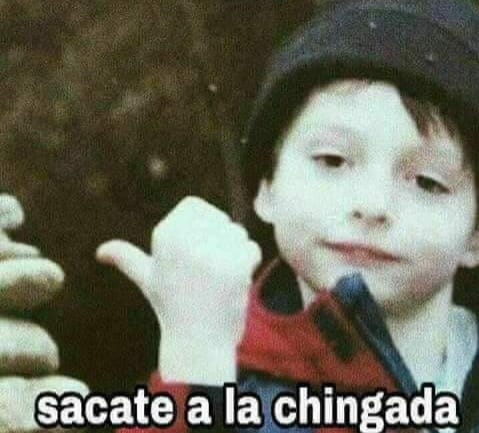 camilo_schnapp's tweet photo. Memes de Finn wolfhard parte 1 😂 https://t.co/fWZs7NTVyN