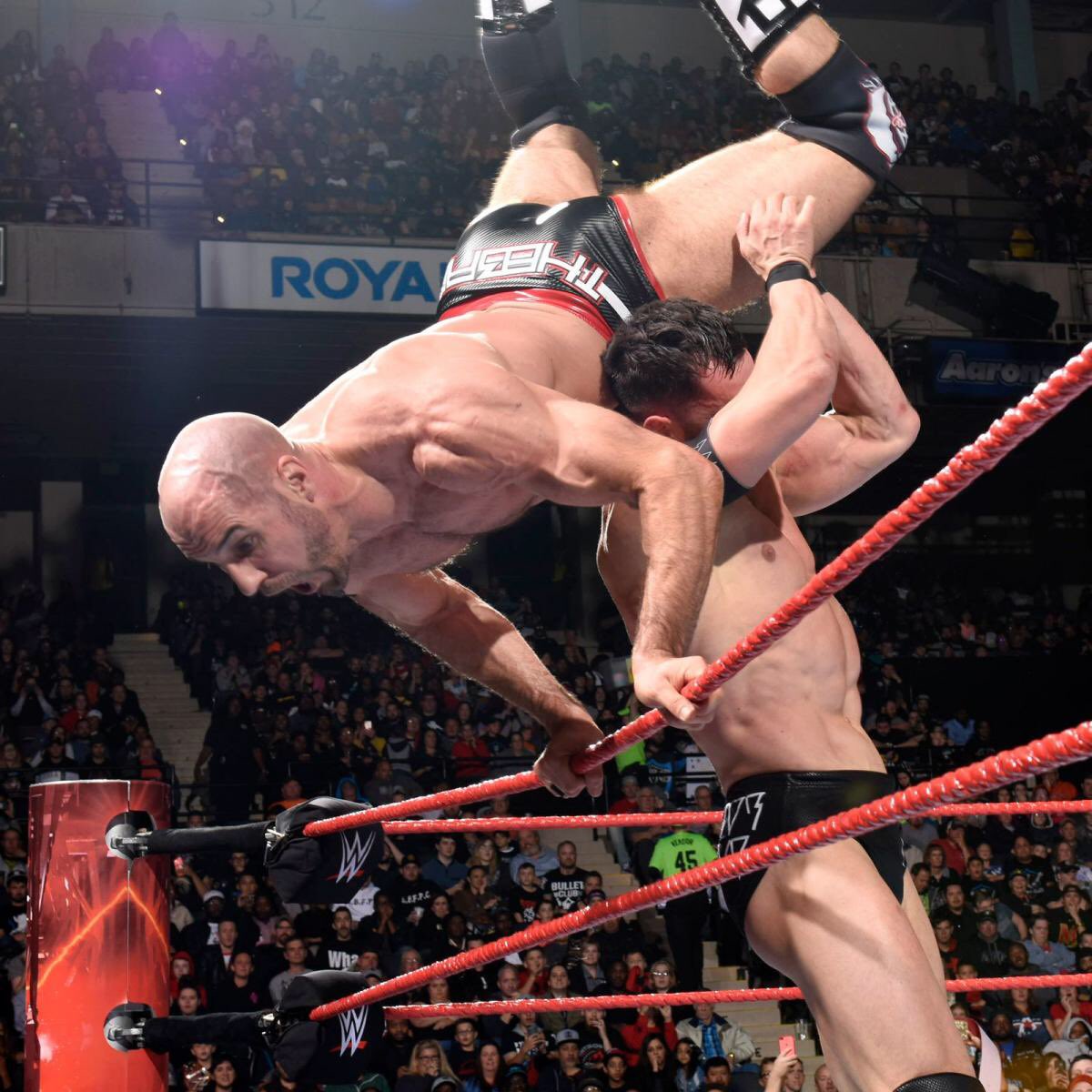 FinnBalor's tweet image. Practice #RoyalRumble