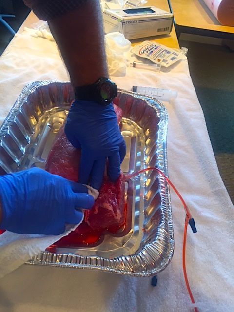 TNATA's tweet photo. In case you missed it, here's a #tbt to Wound Packing and Tourniquet Lab at the 2018 TATS Conference two weekends ago! #TATS2018 #athletictrainingtn #stopthebleeding https://t.co/6cFa3jt5JW
