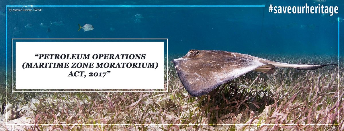 WWF Belize tweet media