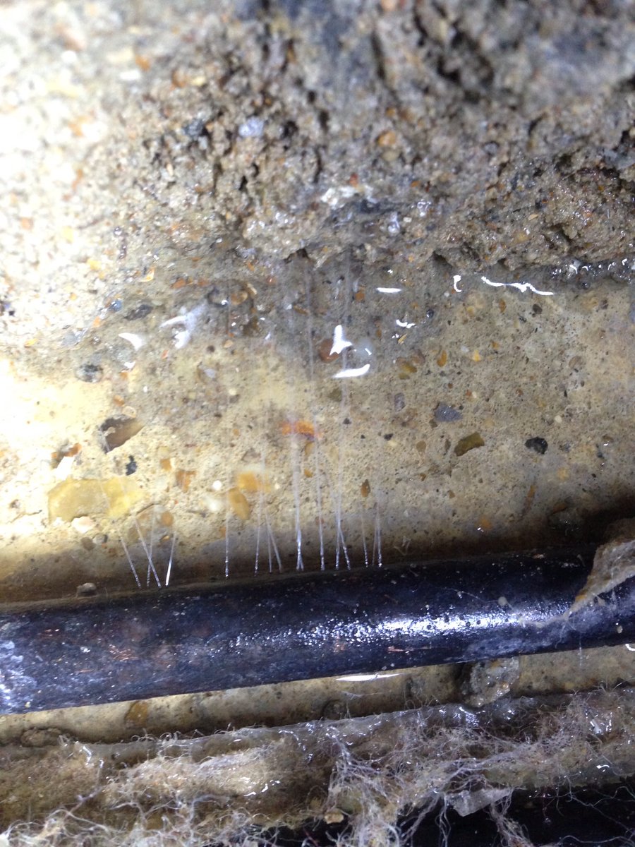 ASA Leak Detection tweet media