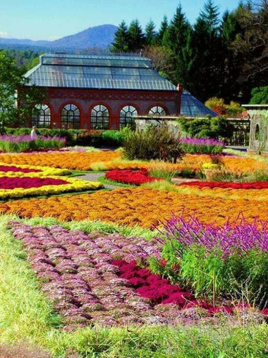 annabel (@annabelbilly) on Twitter photo 