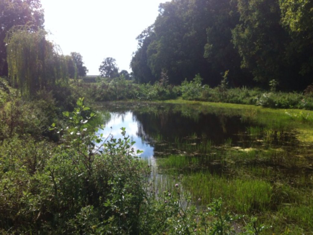 Standpunt CDA: Breng de mensen weer dichterbij de natuur en de natuur dichtbij de mensen! 🌿🌿🌿🌿#natuurleerpad #ouderentuin #genieten #duurzaamheid