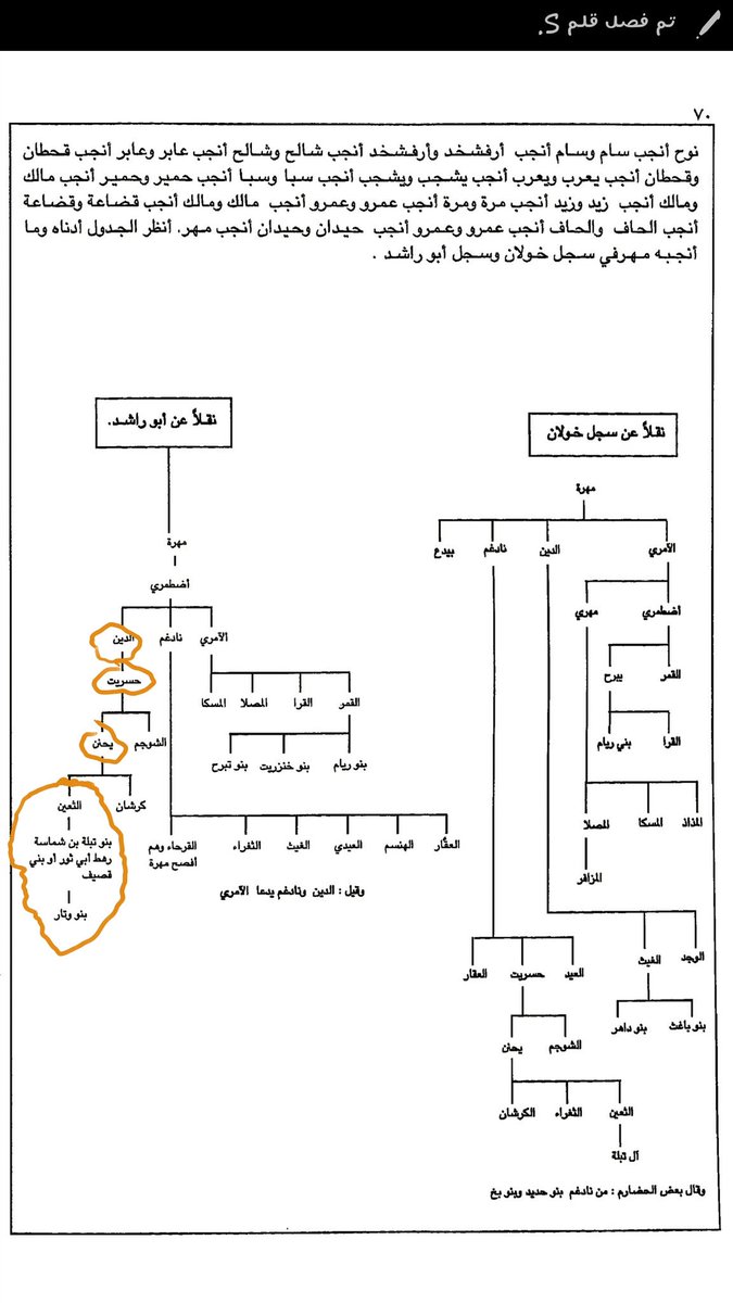 بن مهرة tweet media