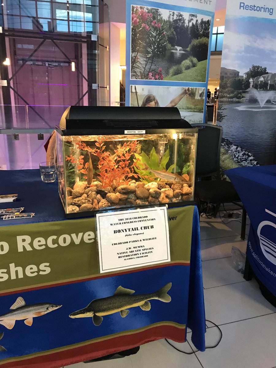 1UPDrones's tweet photo. Long day as Booth babe. Can I say that? Day 2 in the books, water, water everywhere!  The Governor at Colorado Water Congress 2018. #cwcac2018 #water #drones ##ColoradoWater #WaterManagement #SaveWater #WaterCollaboration #uav #HickForCo https://t.co/uBXdepjf2G