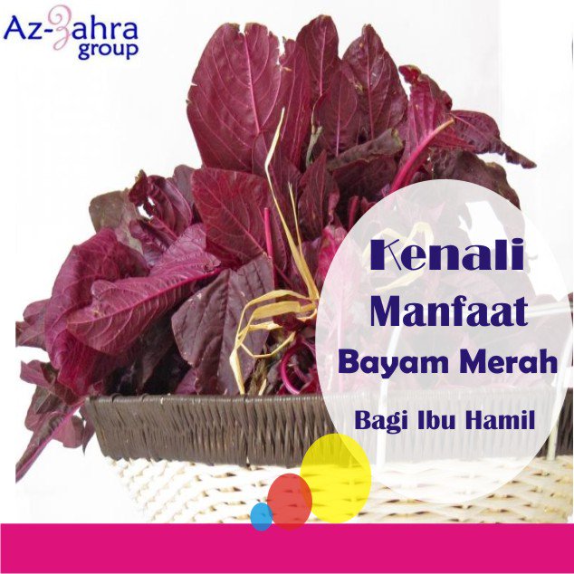 azzahrainfo's tweet photo. Terdapat banyak sekali manfaat jika ibu hamil mengkonsumsi  sayur bayam merah antara lain memperlancar sistem pencernaan, menjaga  daya tahan tubuh ibu hamil, dan jauh dari penyakit darah tinggi. 😍😍😍 https://t.co/aUd8zPLE7Y