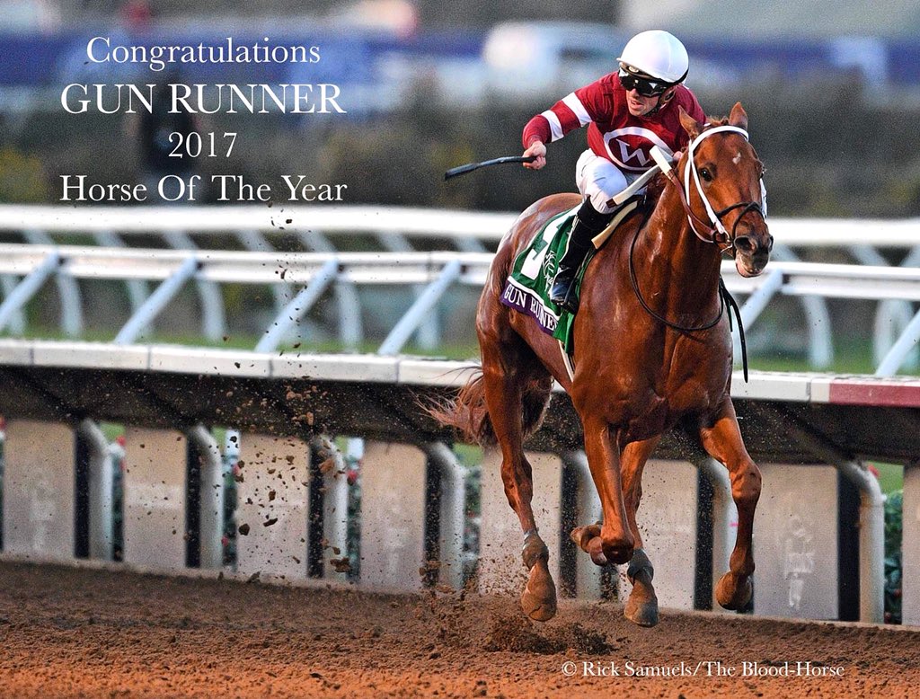 RickSamuels4's tweet photo. Congratulations to all of the Eclipse Award winners of 2017...
© Rick Samuels/The Blood-Horse https://t.co/jxvgSmMoE3