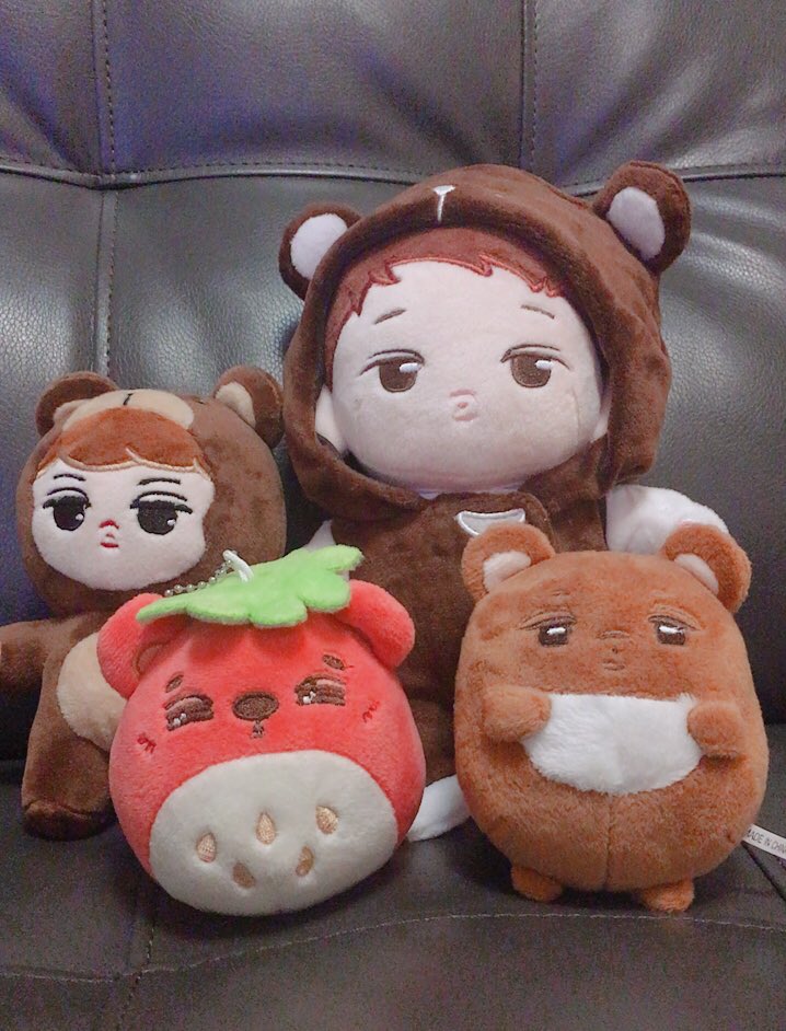 Samslens1's tweet photo. Thank you so much Tracy @dancingninibear #dnbFB heβs little brothers are very excited to see him ππ» #ninibear #kimjongkai #babybears https://t.co/0jJmA2yOao