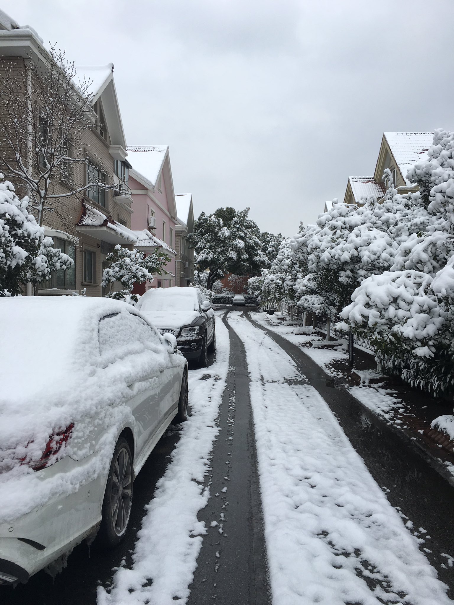 沈晨萱on Twitter 我们这里的雪 綺麗https T Co Krnqcne3hi Twitter